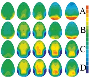 hersenactiviteit seks