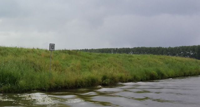 ribbum-fragm2017-07-15 10.40.47